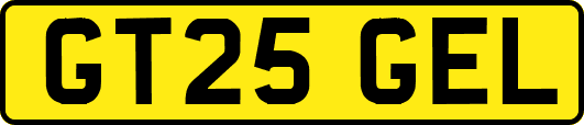 GT25GEL