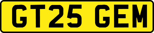 GT25GEM
