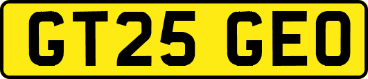 GT25GEO