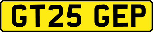 GT25GEP