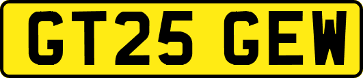 GT25GEW