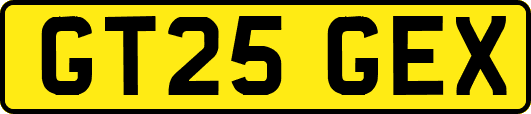 GT25GEX