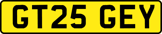 GT25GEY