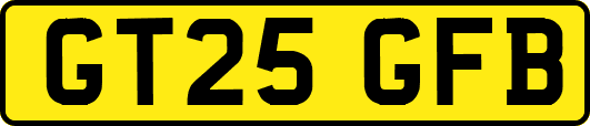 GT25GFB