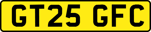 GT25GFC