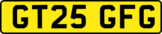 GT25GFG
