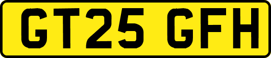 GT25GFH