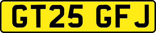 GT25GFJ