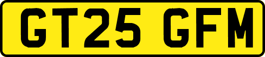 GT25GFM