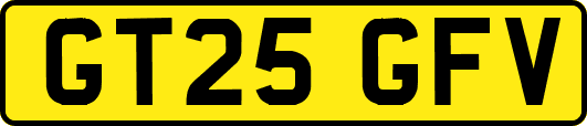 GT25GFV