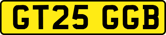 GT25GGB