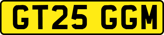 GT25GGM