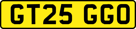 GT25GGO