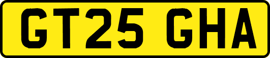GT25GHA