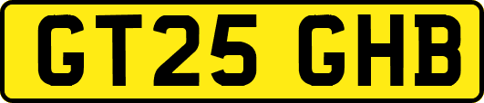 GT25GHB
