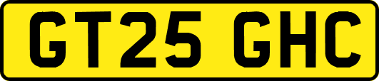 GT25GHC