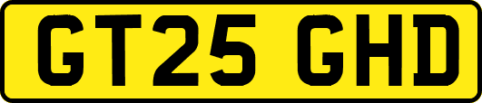 GT25GHD