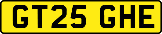 GT25GHE