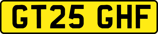 GT25GHF