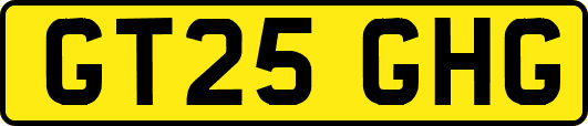 GT25GHG