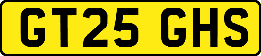 GT25GHS