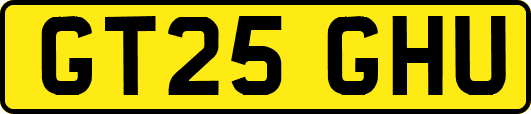 GT25GHU