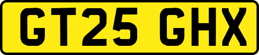 GT25GHX