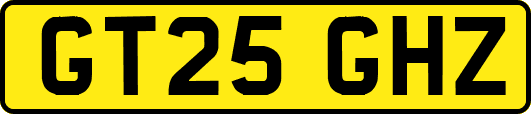 GT25GHZ