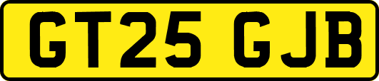 GT25GJB