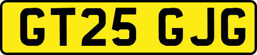 GT25GJG