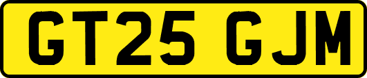 GT25GJM