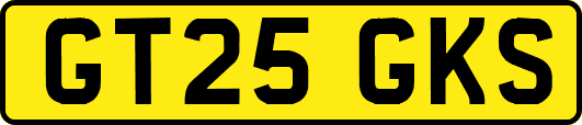 GT25GKS