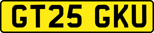 GT25GKU