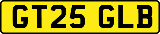 GT25GLB