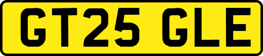 GT25GLE