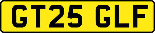 GT25GLF