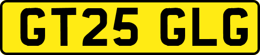 GT25GLG