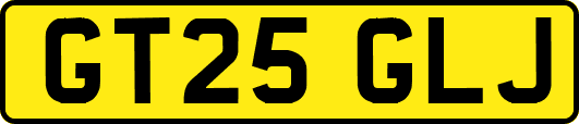 GT25GLJ