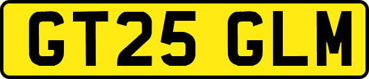 GT25GLM