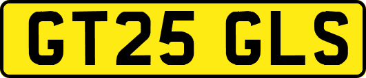 GT25GLS