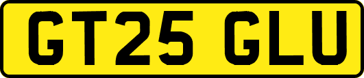 GT25GLU