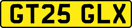 GT25GLX