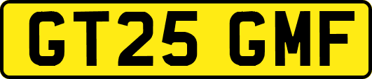 GT25GMF