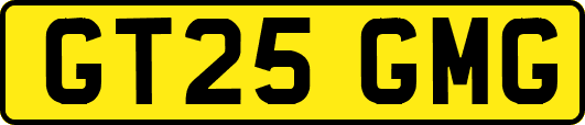 GT25GMG