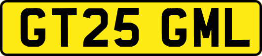 GT25GML