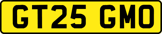 GT25GMO