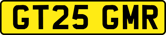 GT25GMR