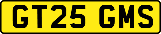 GT25GMS