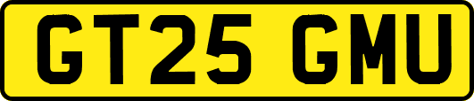 GT25GMU