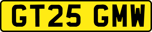 GT25GMW